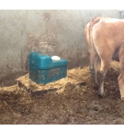 Abreuvoir antigel isotherme simple ou double postes