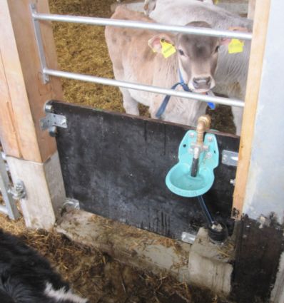 Abreuvoir ovin avec soupape tubulaire Raccord femelle ¾" (20/27 mm)