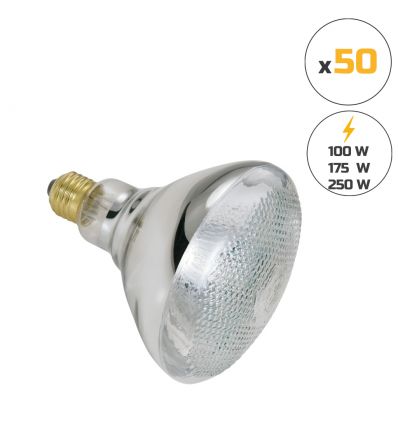 Ampoule Chauffante Infrarouge Blanche à Verre Renforcé (Lot de 50)