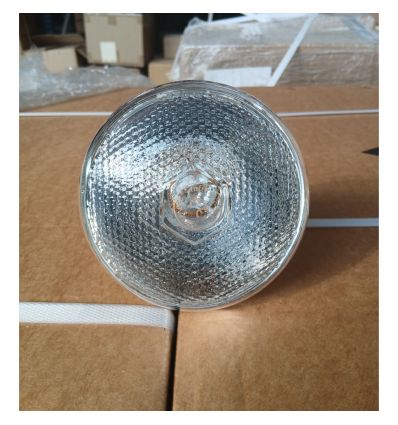Ampoule Chauffante Infrarouge Blanche à Verre Renforcé (Lot de 50)