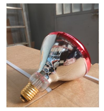Ampoule Chauffante Infrarouge Rouge à Verre Renforcé (Lot de 50)
