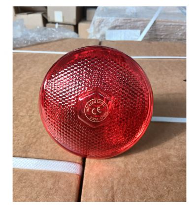Ampoule Chauffante Infrarouge Rouge à Verre Renforcé (Lot de 50)