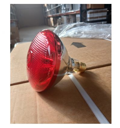 Ampoule Chauffante Infrarouge Rouge à Verre Renforcé (Lot de 50)
