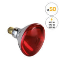 Ampoule Chauffante Infrarouge Rouge à Verre Renforcé (Lot de 50)