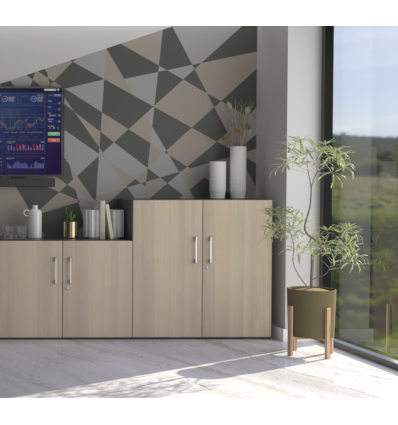 Armoire de bureau 2 portes​ battantes - Métal / Bois