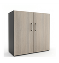 Armoire de bureau 2 portes​ battantes - Métal / Bois