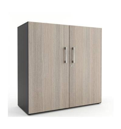 Armoire de bureau 2 portes​ battantes - Métal / Bois