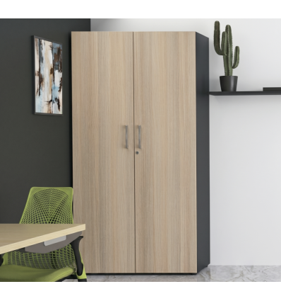 Armoire de bureau 2 portes​ battantes - Métal / Bois