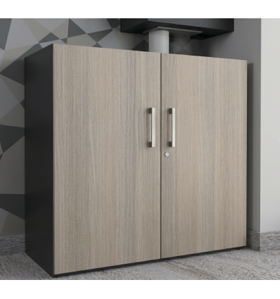 Armoire de bureau 2 portes​ battantes - Métal / Bois