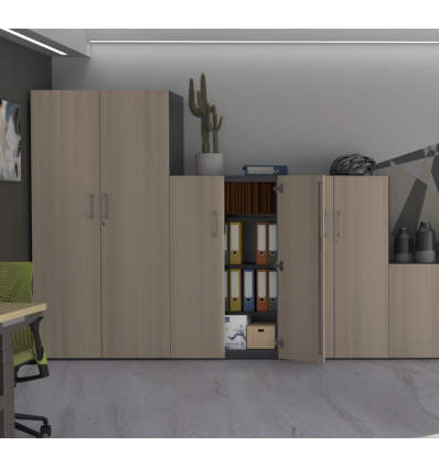 Armoire de bureau 2 portes​ battantes - Métal / Bois