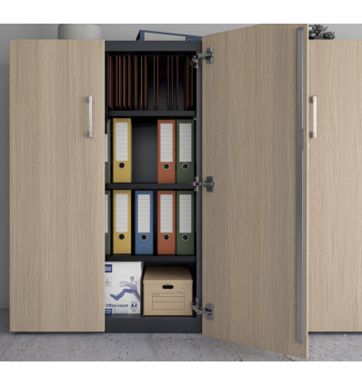 Armoire de bureau 2 portes​ battantes - Métal / Bois