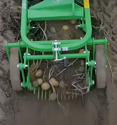 Arracheuse de pomme de terre 1 rang pour micro tracteur