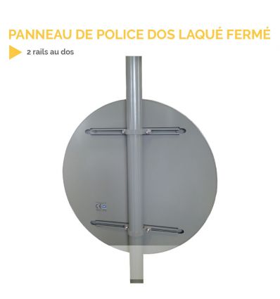 B21d2 - Panneau direction obligatoire : tout droit ou à gauche