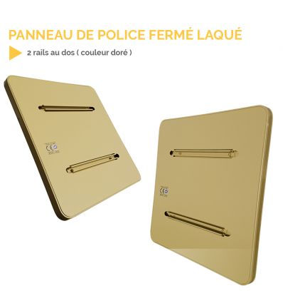 B6b2 - Panneau entrée de zone à stationnement unilatéral à alternance semi-mensuelle