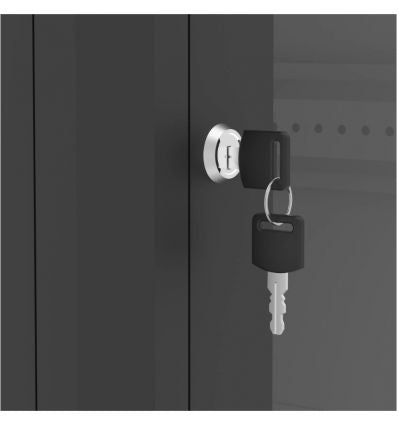 Baie serveur 19 pouces 42U - 600 x 600 mm