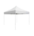 Barnum pliant 3x6 professionnel