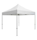 Barnum 3x3 professionnel