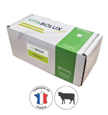 Boite de Bolus Magnesium pour bovins - 20x70g