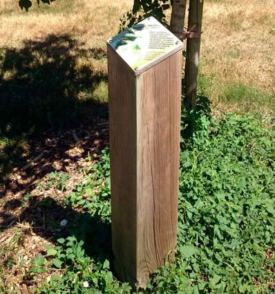 Borne Signalétique Bois