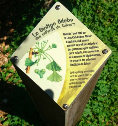 Borne Signalétique Bois
