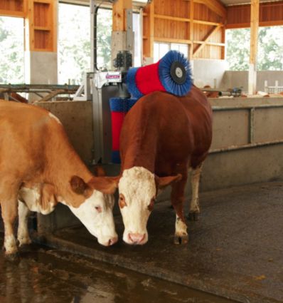Brosse a Vache Electrique Double