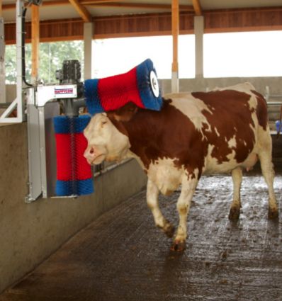 Brosse a Vache Electrique Double