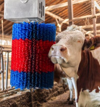 Brosse a Vache Electrique Simple