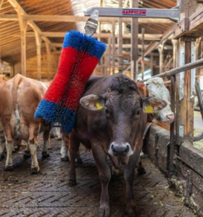 Brosse Vache Pendulaire