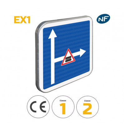 C24C - Panneau de conditions particulières de circulation sur voie embranchée