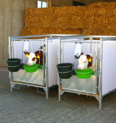 Case a Veau