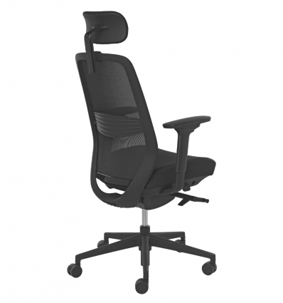 Chaise de bureau professionnel ergonomique