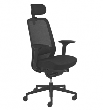 Chaise de bureau professionnel ergonomique