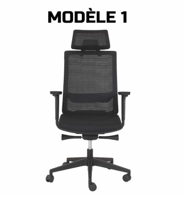 Chaise de bureau professionnel ergonomique