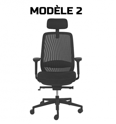 Chaise de bureau professionnel ergonomique