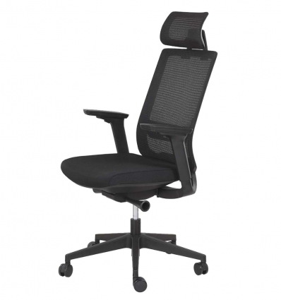 Chaise de bureau professionnel ergonomique