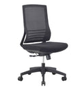 Chaise de bureau professionnel