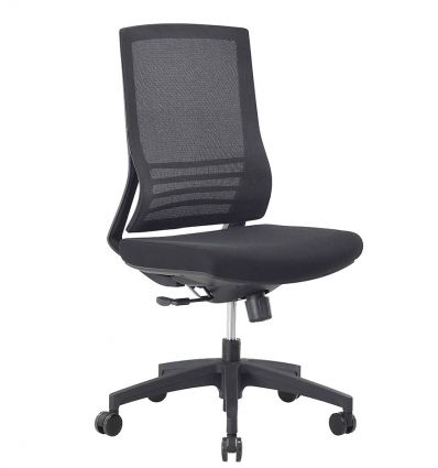 Chaise de bureau professionnel