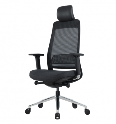 Chaise de direction professionnel