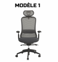 Chaise de direction professionnel