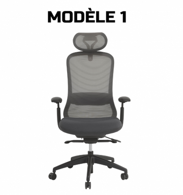 Chaise de direction professionnel