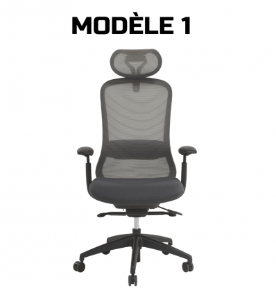 Chaise de direction professionnel