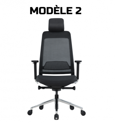Chaise de direction professionnel