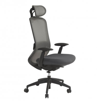 Chaise de direction professionnel