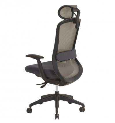 Chaise de direction professionnel