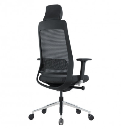 Chaise de direction professionnel