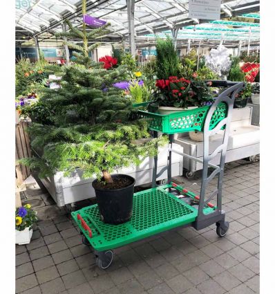 Chariot de magasin de bricolage