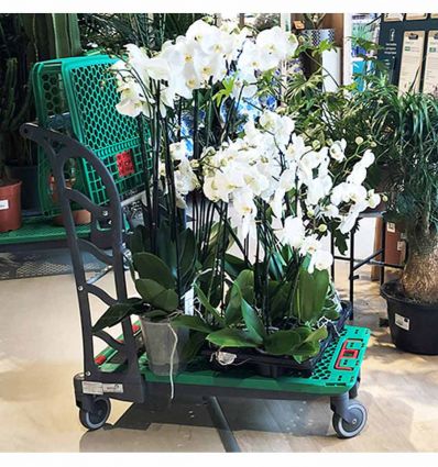 Chariot de magasin de bricolage