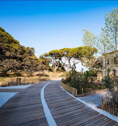 Chemin de plage en bois