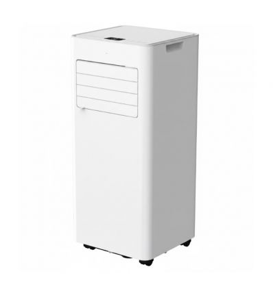 Climatiseur mobile professionnel réversible