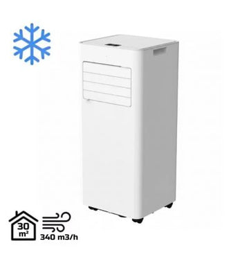 Climatiseur mobile professionnel réversible